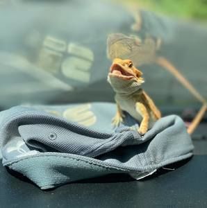 Meet your Posher, Kyle